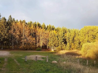 Holiday house 6 person holiday home in Løgstør-By Traum - Outdoor photo 31