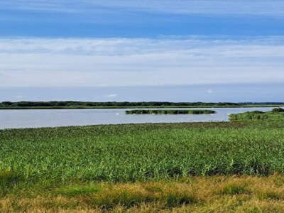 Holiday house 6 person holiday home in Løgstør-By Traum - Outdoor photo 33