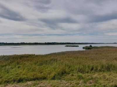 Holiday house 6 person holiday home in Løgstør-By Traum - Outdoor photo 35