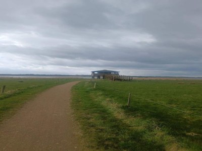 Holiday house 6 person holiday home in Løgstør-By Traum - Outdoor photo 38