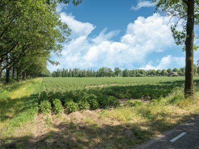 Holiday house Ferienhaus Eibergen - Environment photo 30