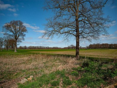 Holiday house Ferienhaus Eibergen - Environment photo 36