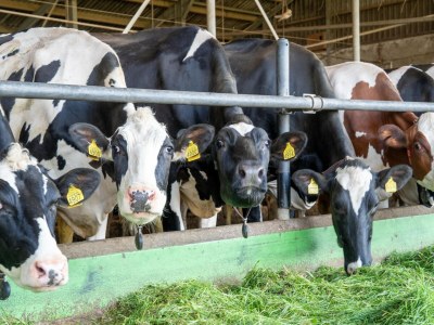 Holiday house Ferienhaus Eibergen - Outdoor photo 39