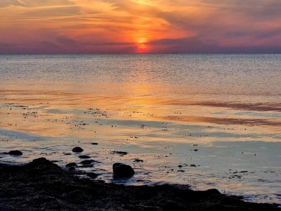 Holiday house 4 Personen Ferienhaus in Gilleleje-By Traum - Outdoor photo 39