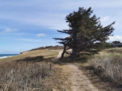 Holiday house 4 Personen Ferienhaus in Gilleleje-By Traum - Outdoor photo 41