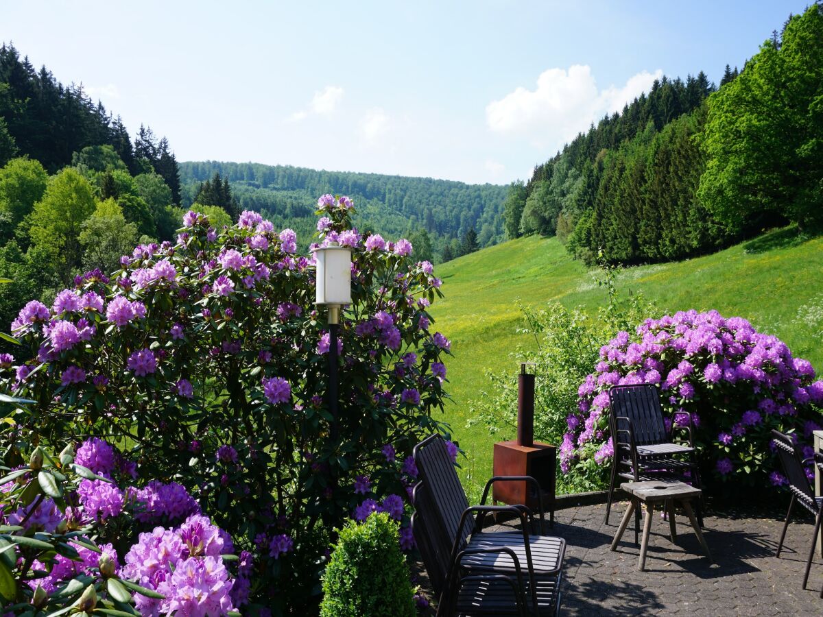 Holiday house Ferienhaus im Sauerland - Outdoor photo 4