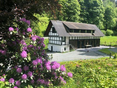 Holiday house Ferienhaus im Sauerland - Outdoor photo 8