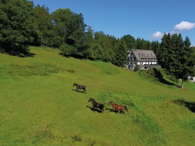 Holiday house Ferienhaus im Sauerland - Environment photo 35