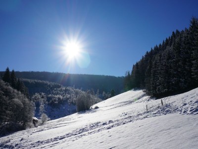 Holiday house Ferienhaus im Sauerland - Environment photo 38