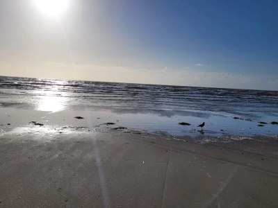 Holiday house 4 person holiday home in Blåvand-By Traum - Outdoor photo 21