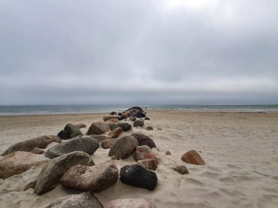 Holiday house 4 person holiday home in Blåvand-By Traum - Outdoor photo 24