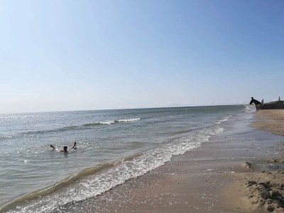 Holiday house 4 person holiday home in Blåvand-By Traum - Outdoor photo 27