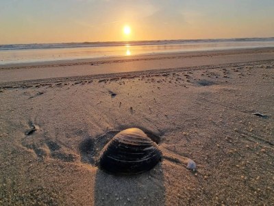 Holiday house 4 person holiday home in Blåvand-By Traum - Outdoor photo 34