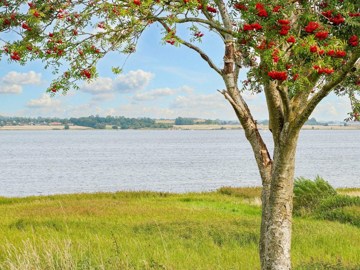 Holiday house 5 Personen Ferienhaus in Jægerspris-By Traum - Outdoor photo 5