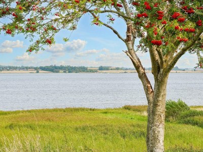 Holiday house 5 Personen Ferienhaus in Jægerspris-By Traum - Outdoor photo 5