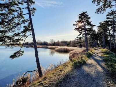 Holiday house 5 Personen Ferienhaus in Jægerspris-By Traum - Outdoor photo 6