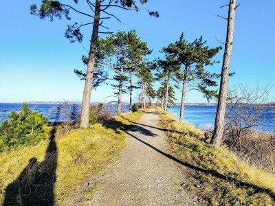 Holiday house 5 Personen Ferienhaus in Jægerspris-By Traum - Outdoor photo 8