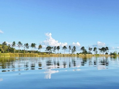 Holiday house 5 Personen Ferienhaus in Jægerspris-By Traum - Outdoor photo 27