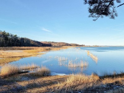 Holiday house 5 Personen Ferienhaus in Jægerspris-By Traum - Outdoor photo 28