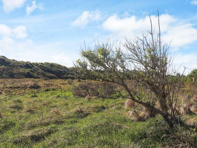 Holiday house 6 Personen Ferienhaus in Hjørring - Outdoor photo 21