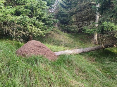 Holiday house 6 Personen Ferienhaus in Hjørring - Outdoor photo 24