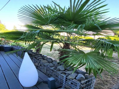 Apartment Regal Apartment in Pracht with Garden and Grill - Outdoor photo 4