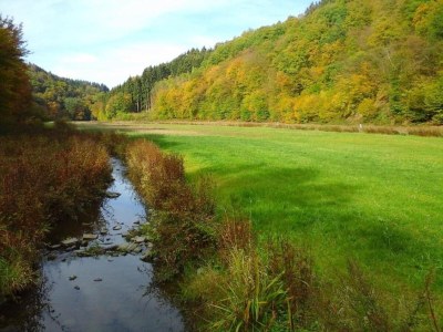 Apartment Regal Apartment in Pracht with Garden and Grill - Environment photo 28