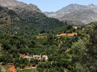 Holiday park Romantic Holiday Home in Drosia - Environment photo 14