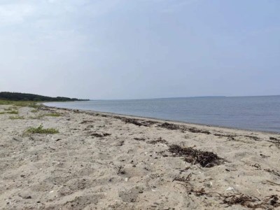 Holiday house 8 person holiday home in Bogense-By Traum - Outdoor photo 25