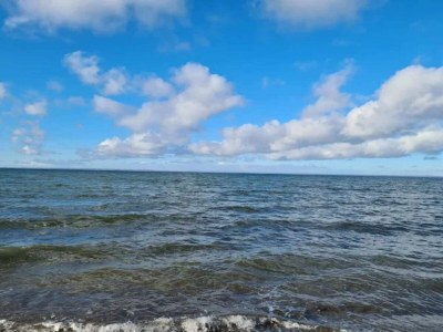 Holiday house 8 person holiday home in Bogense-By Traum - Outdoor photo 44