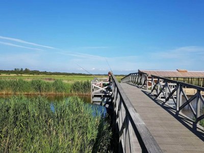 Holiday house 6 person holiday home in Ringkøbing-By Traum - Outdoor photo 6