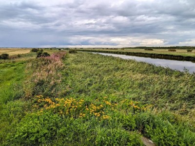 Holiday house 6 person holiday home in Ringkøbing-By Traum - Outdoor photo 7