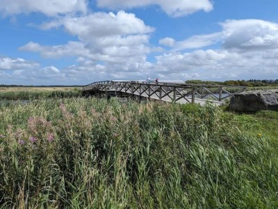 Holiday house 6 person holiday home in Ringkøbing-By Traum - Outdoor photo 16