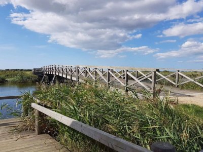 Holiday house 6 person holiday home in Ringkøbing-By Traum - Outdoor photo 24