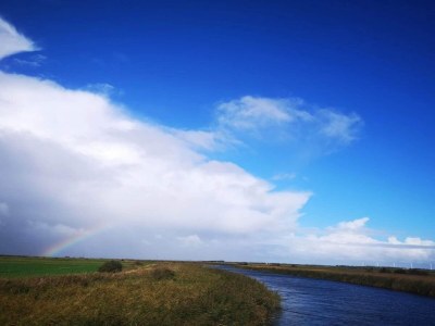 Holiday house 6 person holiday home in Ringkøbing-By Traum - Outdoor photo 41
