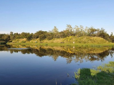 Holiday house 6 person holiday home in Ringkøbing-By Traum - Outdoor photo 46