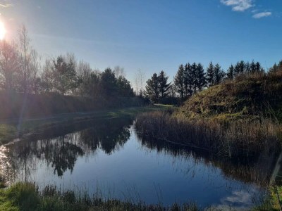 Holiday house 6 person holiday home in Ringkøbing-By Traum - Outdoor photo 47