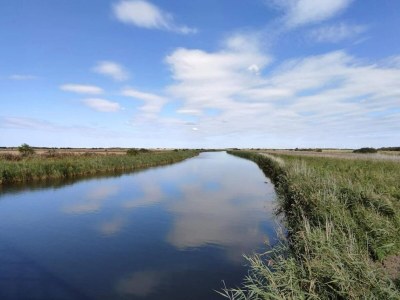 Holiday house 6 person holiday home in Ringkøbing-By Traum - Outdoor photo 54