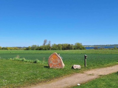 Holiday house 8 person holiday home in Store Fuglede-By Traum - Outdoor photo 4