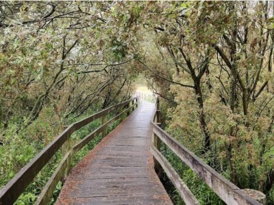 Holiday house 8 person holiday home in Store Fuglede-By Traum - Outdoor photo 11