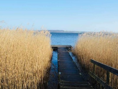 Holiday house 8 person holiday home in Store Fuglede-By Traum - Outdoor photo 15