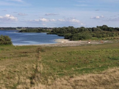 Holiday house 8 person holiday home in Store Fuglede-By Traum - Outdoor photo 20