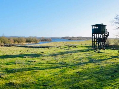 Holiday house 8 person holiday home in Store Fuglede-By Traum - Outdoor photo 27