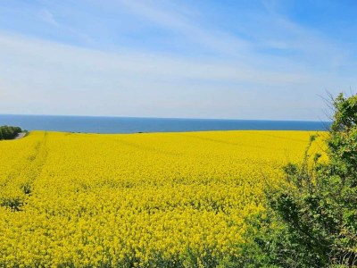 Holiday house 8 person holiday home in Store Fuglede-By Traum - Outdoor photo 28