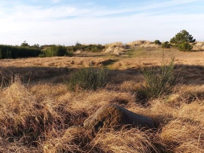 Holiday house 8 person holiday home in Store Fuglede-By Traum - Outdoor photo 32