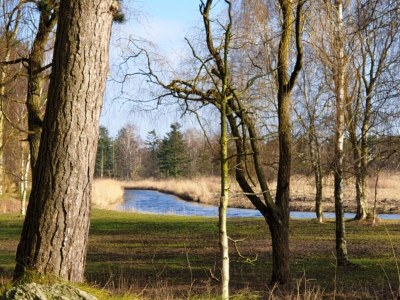 Holiday house 8 person holiday home in Store Fuglede-By Traum - Outdoor photo 40