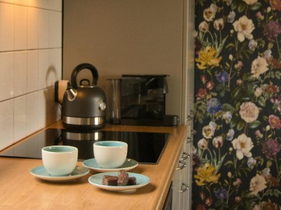 Holiday house Gemütliches Ferienhaus in Schoonloo in einer wunderschönen Umgebung. - Features photo 28