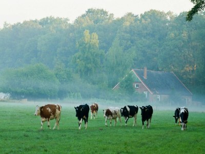 Holiday house Ferienhaus in Zelhem nahe Wald und Golf - Environment photo 29