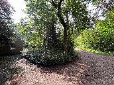 Holiday house Ferienhaus in Zelhem nahe Wald und Golf - Environment photo 34