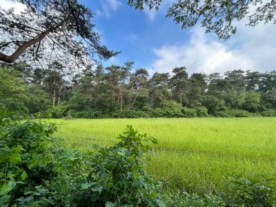 Holiday house Ferienhaus in Zelhem nahe Wald und Golf - Environment photo 35